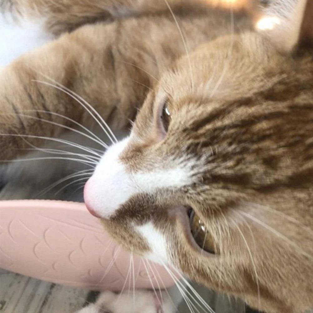 Pet Kitten Portable Simulation Cats Tongue Massage Comb Brush Grooming Tool Cat Brush Massage Pet grooming supplies