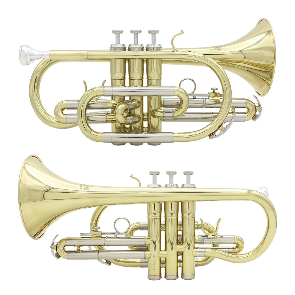 Bb B Flat Cornet Gold Plated Brass Wind Instrument With Mouthpiece Gloves Cleaning Cloth Carrying Case