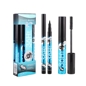 

2 in 1 Eyes Makeup Set Long Lasting Waterproof Makeup Kit de maquiagem Eyeliner Lengthening Mascara Ultra Fine Eyebrow