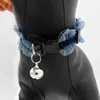 Pet Products