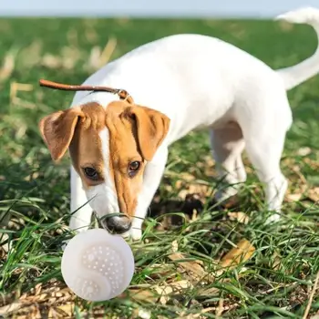 

7 cm Small Animals Luminescent Silica Gel Balls Puppy Bite Resistance Silicone Toy Interactive LED Glow Ball Toy Pet Supplies