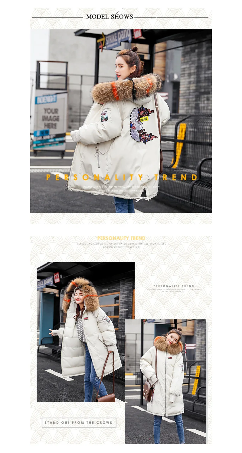 WC20913  PC800 (5)