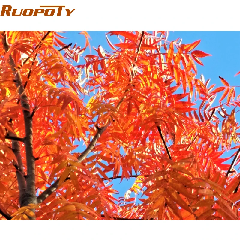 0906-2 Ruopoty вишни дорога DIY масла Краски ing по номерам Наборы стены Книги по искусству изображение Домашний Декор акрил Краски на холсте для Книги по искусству работы - Цвет: 0906-2