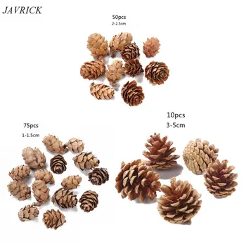 

DIY Pine Cone Natural Hand Selected All Natural Cones Resin Jewelry Art Craft
