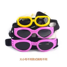 ПЭТ стекло es Тедди солнцезащитное стекло es Собака Золотой ретривер солнцезащитное стекло es собака Велосипедное стекло Забавный Кот Маленький крутой кот стекло es