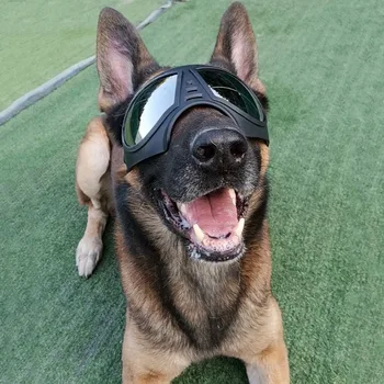 

New Pet Fashion Plastic Glasses For Resistant To UV Hunting Training Camping Pet Dogs Cats Transparent