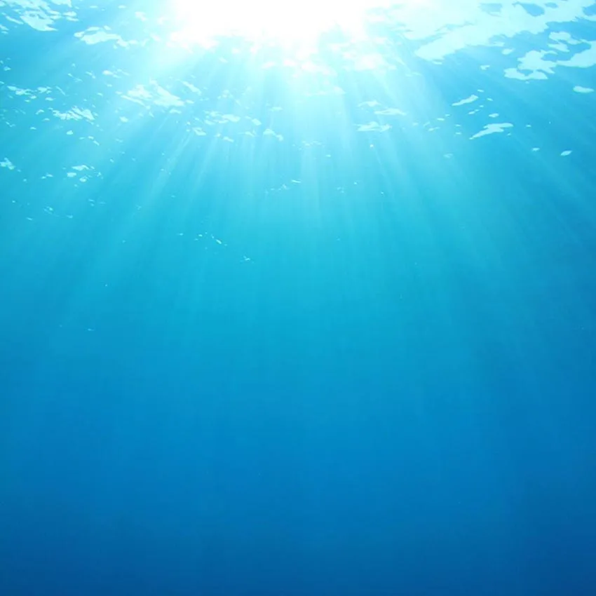 

8X8 футов красивый под синим морем Солнечный свет пользовательский фото фон винил 240 см X 240 см