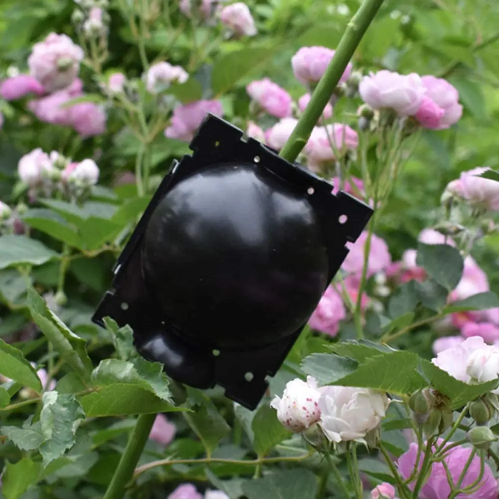 61XIlPLBbIL._AC_SL1000_