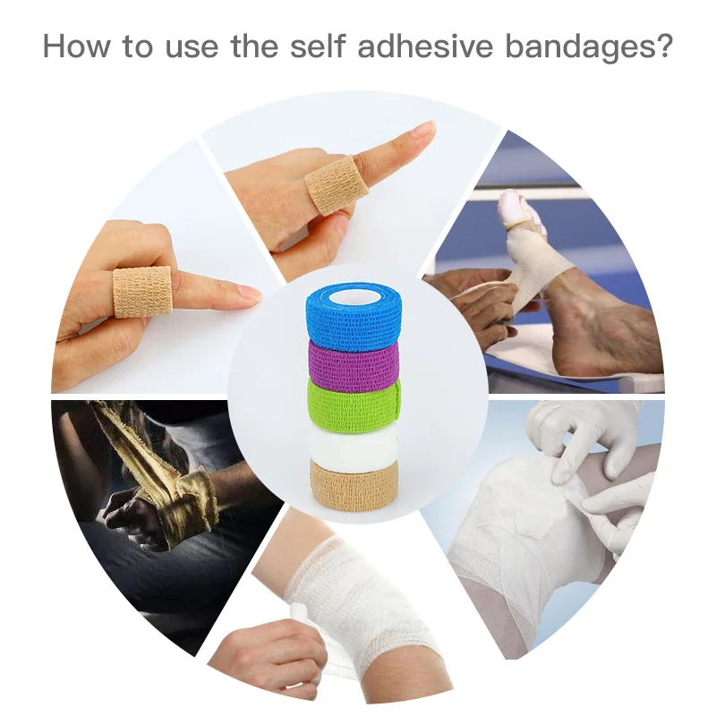 5448e3fa188c43c89c4aa32e45240695