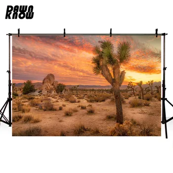 

DAWNKNOW Desert Photography Background Setting Sun Scenic Cactus Photographic Backdrops Wedding Children Photocall lv1153