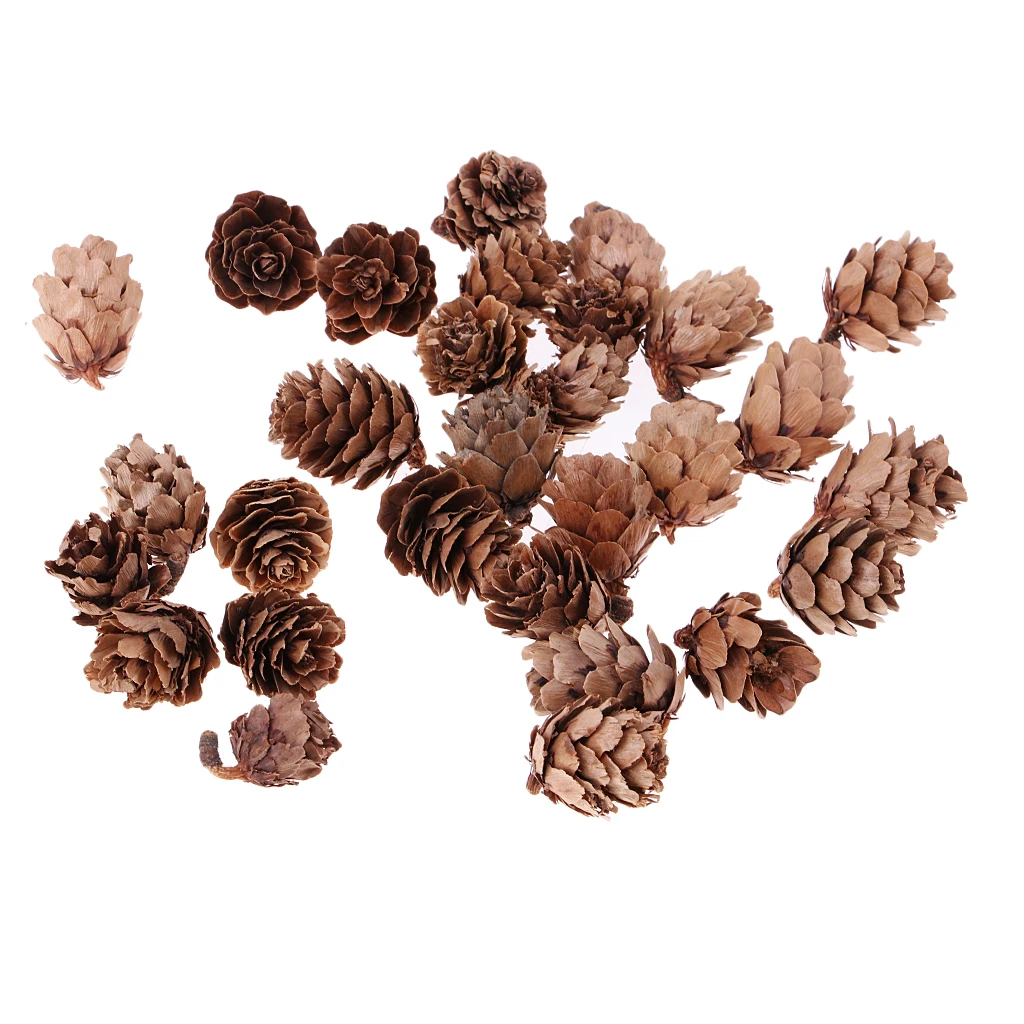 30pcs Real Natural Small Pine ConesBulk Sale for Accents Decors Ornament