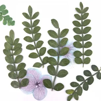 

12pcs/Set 3D Dried Flower Nail Art Decoration Blossom Leaf Slider Polish Sticker Summer Manicure Tools High Quality