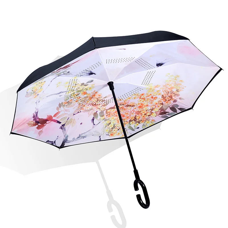 5973263582_1932036135