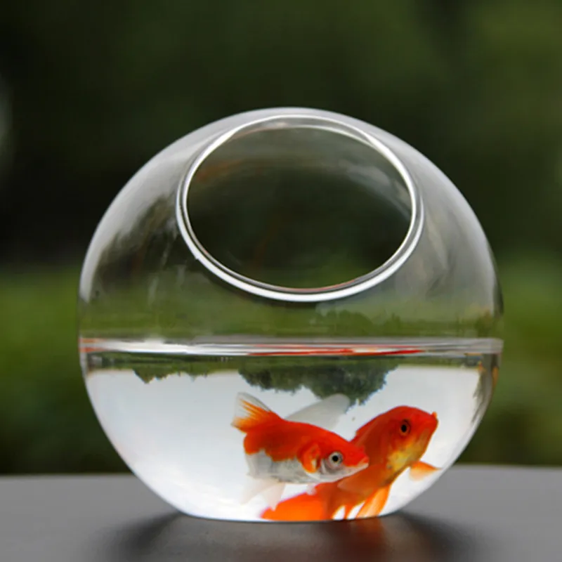 Стеклянный шар диаметр = 20 см|home decoration glass|home glass decorationsterrarium ball |