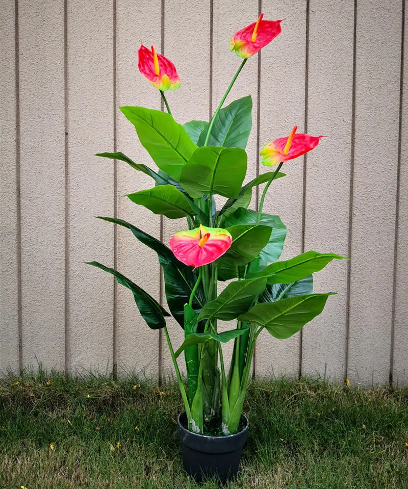 11079922573_356759457