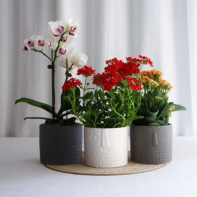 

Nordic ins керамический человеческое лицо цветочный горшок сочные маленькие горшки с балконом садовая скульптура Противоударная заданяя домашний декор бонсай