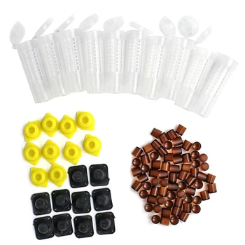 

1set bee queen cages plastic protective cover cage cell box cup rearing new bees king tools beekeeper beekeeping set accessories