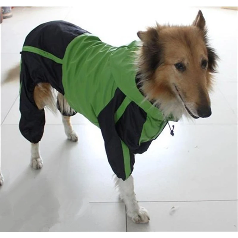 HTB1ycvhJVXXXXabXpXXq6xXFXXXI