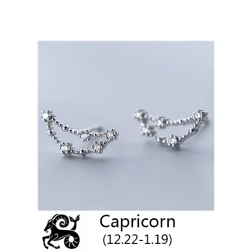 Capricorn Trustdavis 925 Твердые ювелирные изделия из настоящего стерлингового серебра 12 созвездие серьги гвоздики подарок на день рождения для женщин девочек DA330 - Окраска металла: Capricorn