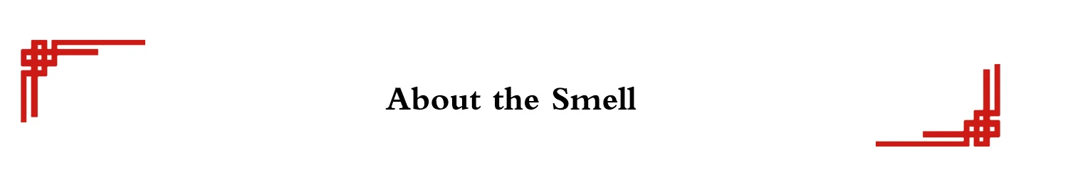 Description Picture 4 of itemMS16 Pro Handmade Make Up Brush Slanted Stippling Blush Brush Soft Saikoho Goat Silver Fox Hair Ebony Wood Handle Makeup Brushes