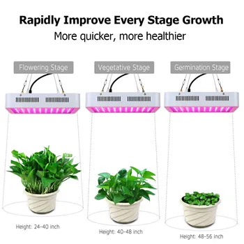 

1200W Dual Chips 380-730nm Full Light Spectrum LED Plant Growth Lamp to Grow Houseplants Vegetables Lettuce Tomatoes Herbs White