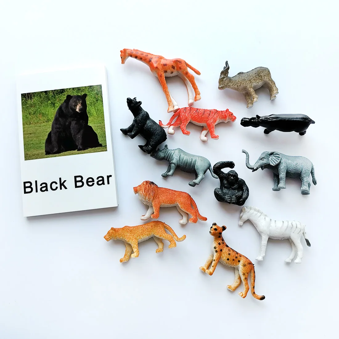 24Pcs/Set Montessori baby Learning English Animals Kids Card Early Educational practical life Toys For Children L2666F