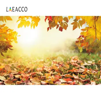 

Laeacco Autumn Fallen Leaves Maples Polka Dots Yellow Baby Newborn Portrait Photo Background Photography Backdrop Photo Studio