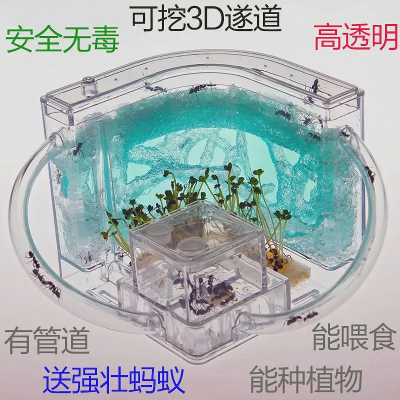 

Ant Farm Studio Raise Pet Small Ants Nest Castle Maze Home Children Gift Toy Send Ant Funny