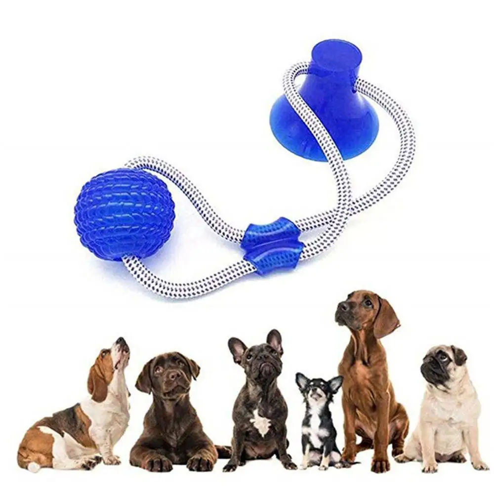 Pet Toys with Suction Cup Dog Push Toy with TPR Ball Pet Tooth Cleaning  Chewing Rubber Dog Toys for Small Dogs Rubber Dog Toy - Price history &  Review