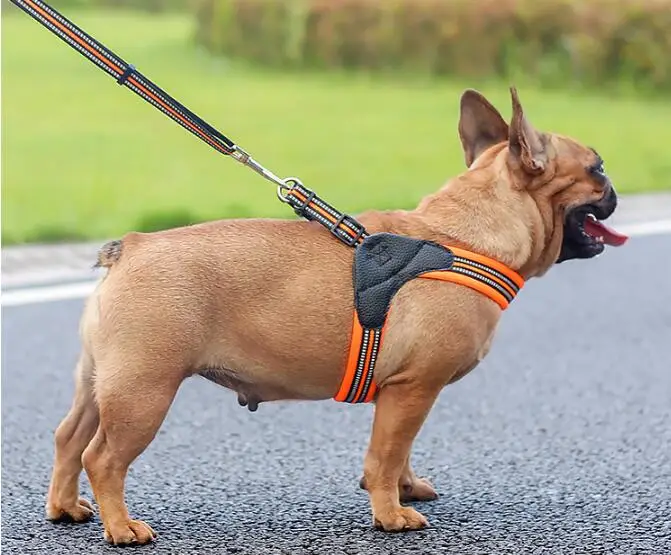 QQ截图20190725110553