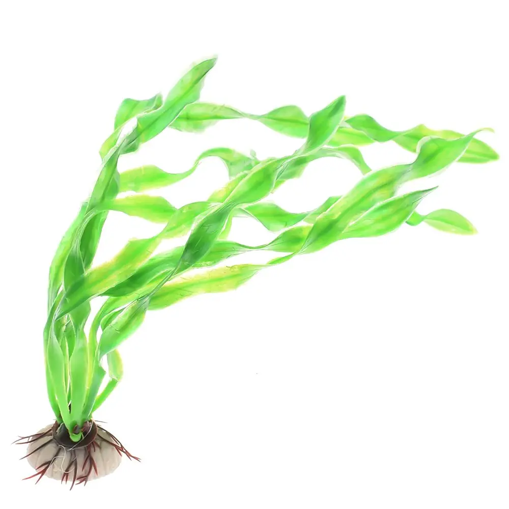 L01521874994_DSC_5842