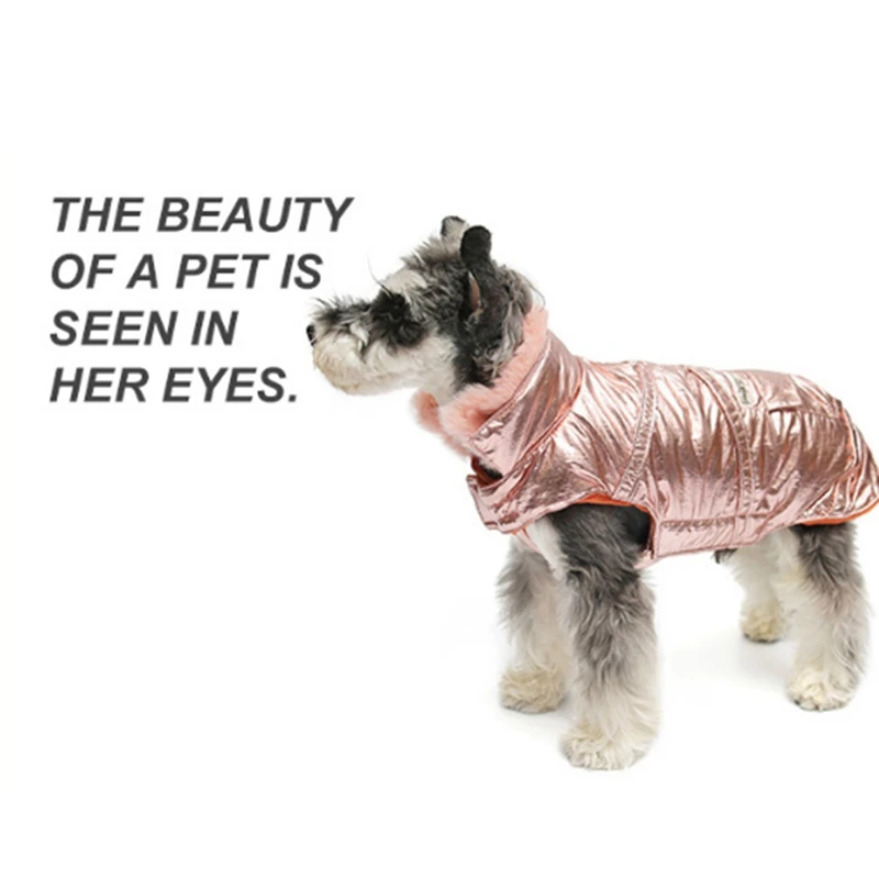 Одежда для собак зимняя французская собака породы бульдог Одежда для маленьких собак хлопок мягкий теплый наряд мопса одежда для Чихуахуа Одежда