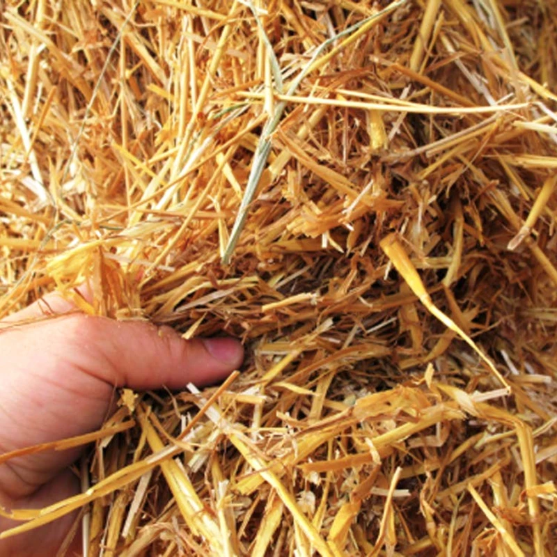 100pcs Disposable Wheat Straw Drinking Straws Eco-Friendly Natural Portable Bar Party Accessory