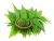 Порошок листьев Нима 100 г Azadirachta Indica Neem Churna Органический Сушеный Свободный корабль