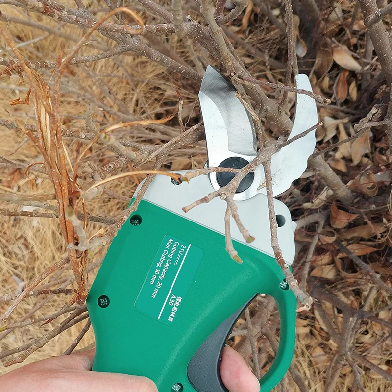 698c2bacc6834ceda3d32411da0f610b