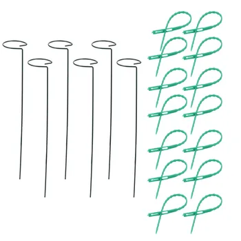 

1 Set Plant Support Frame Single Stem Support Pile Potted Plant Support Rod