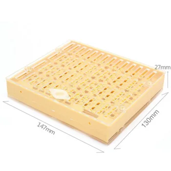

143x Bee Queen Rearing System Cell Cups Beekeeping Box Set Beekeeping Tool Pro^