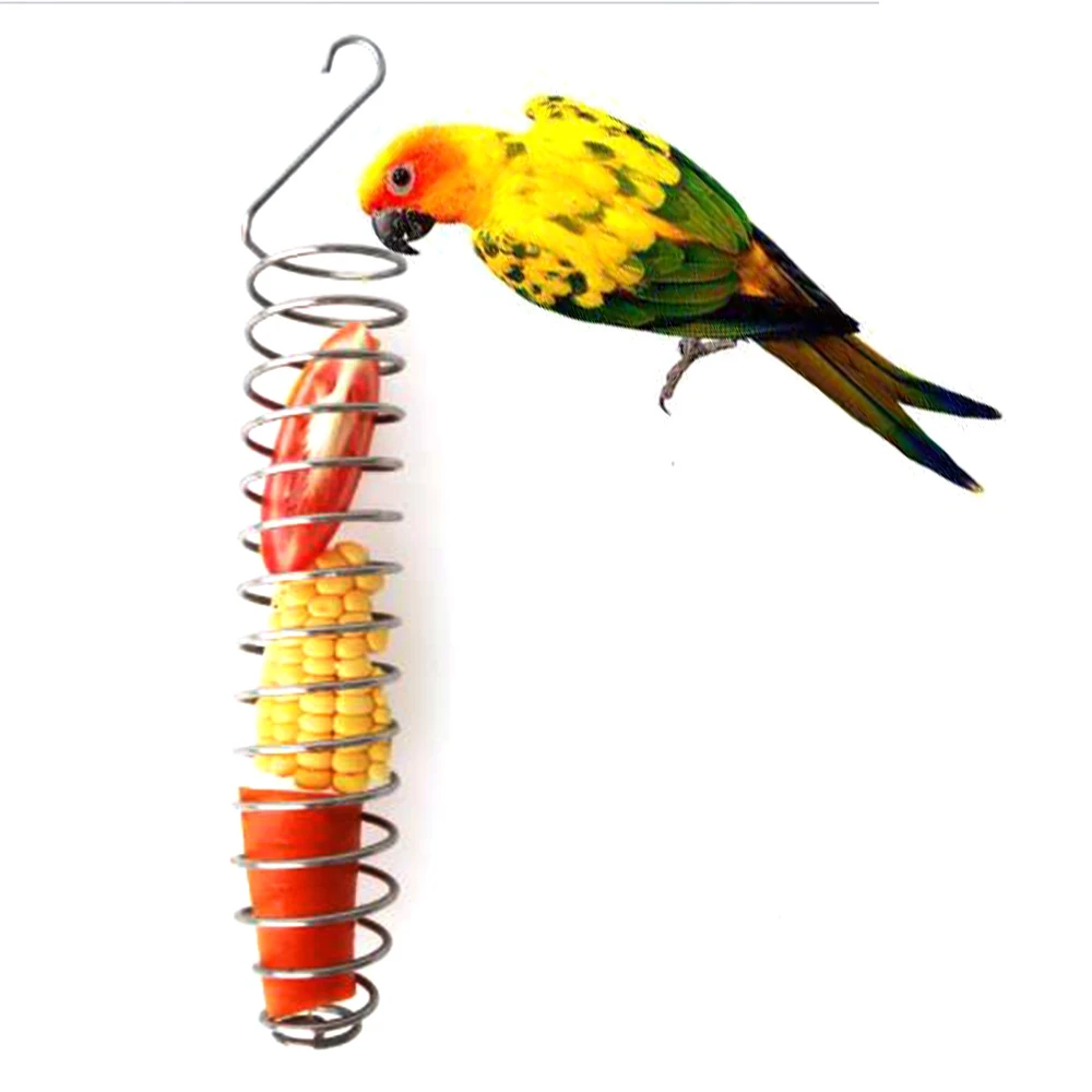 pet bird supply store