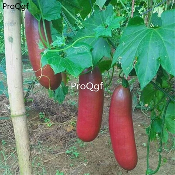 

Ngryise 2000Pcs A Set sausage cucumber