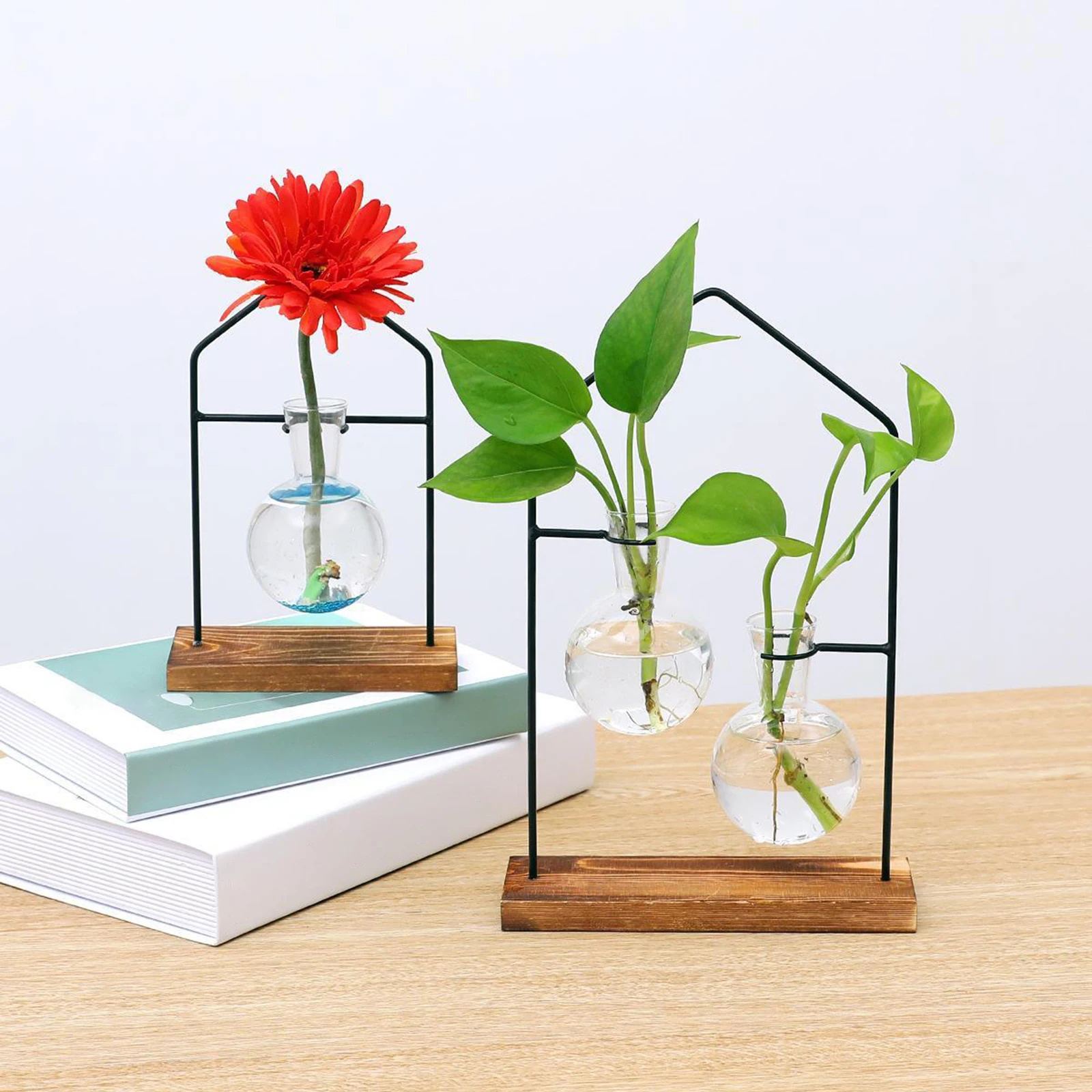 Clear Glass Vase Terrarium Hydroponic Flower Vase Container Flower Planter Pot for Water Planting Propagation