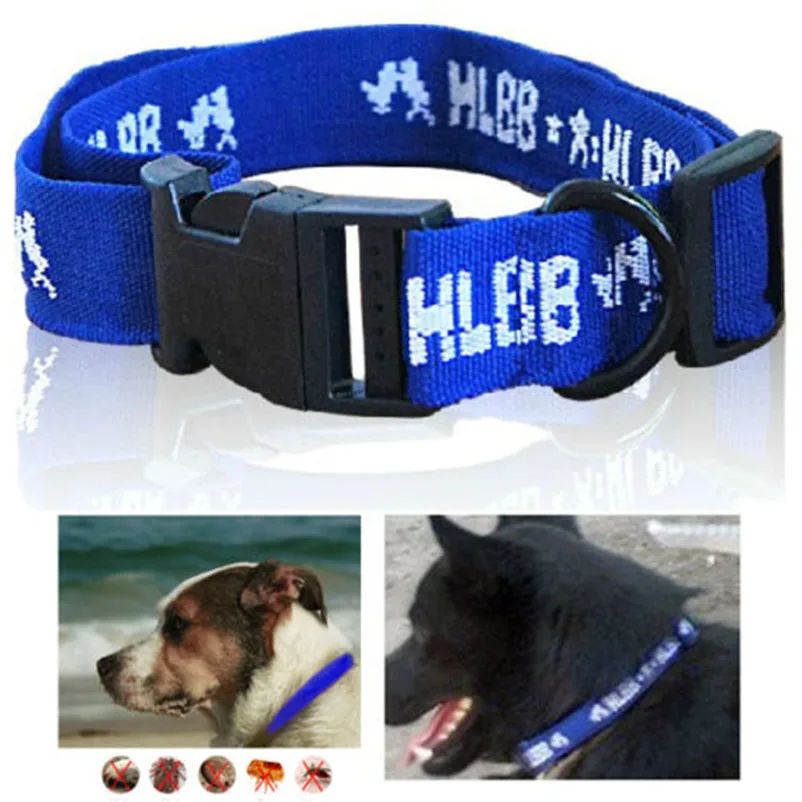 HTB1qp.2h8jTBKNjSZFNq6ysFXXaA