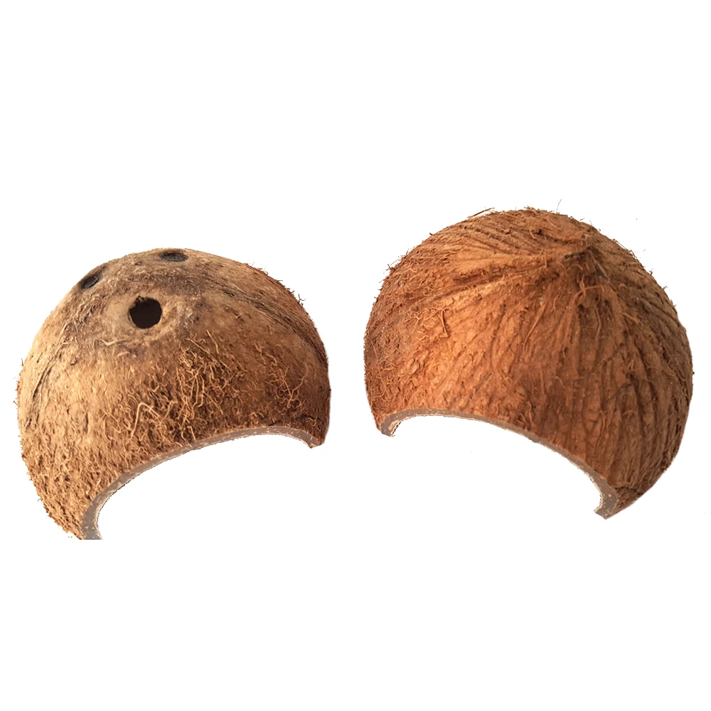 

Tortoise Scorpion Lizard Pet Natural Coconut Shells To Avoid Caves Escape House Reptile To Avoid House Escape The Cave Hide Cave