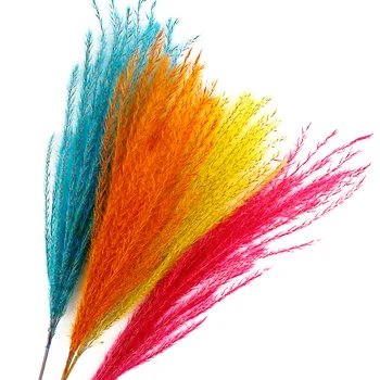 

Photography Background Accessories Props Length 50cm Natural Reed Red Yellow Blue Dried Flower DIY Adornment Items fotografia