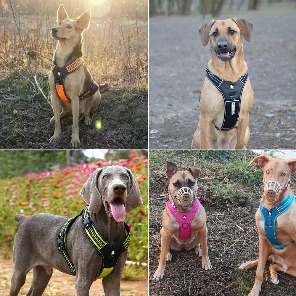 Truelove Sport Nylon Reflective No Pull Dog Harness Outdoor