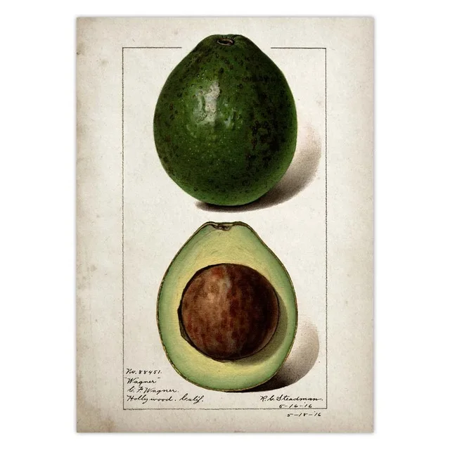 Fruit-Kitchen-Poster-Vintage-Poster-Antique-Pear-Apple-Orange-Pineapple-Wall-Art-Decorative-Picture-Kraft-paper.jpg_.webp_640x640 (2)