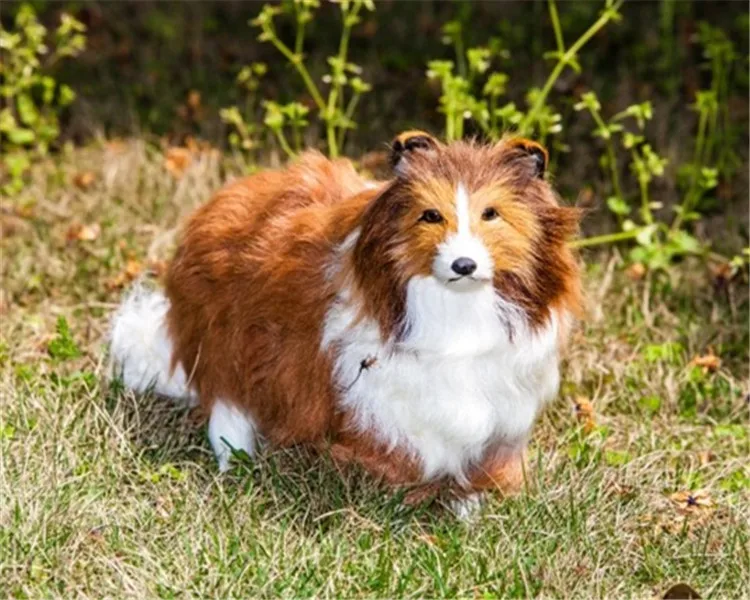 O1CN01ulLgiN20KBcNTjwoF_!!63646830