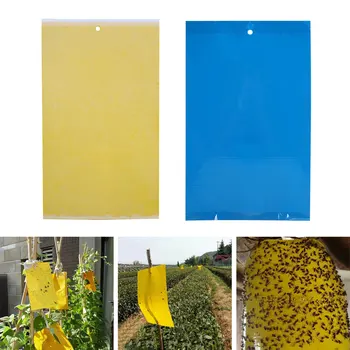 

Insects Killer Paper Leaf Miners Flies Traps Fly Trap Board Vegetable Garden Home Tree Fungus Gnats Pest