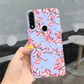 Case-c48