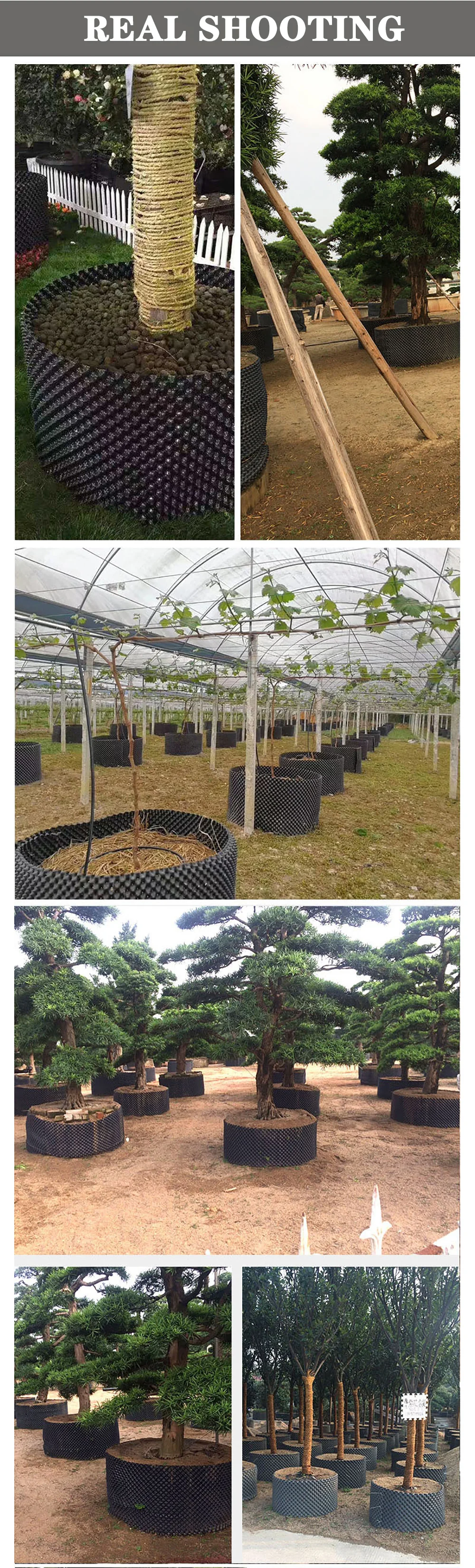 Air Pruning Plant Root Control Nursery Pots Trainer Fast Root Grow Container Garden Tree Bonsai Transplant Tool Fast Nersery Pot
