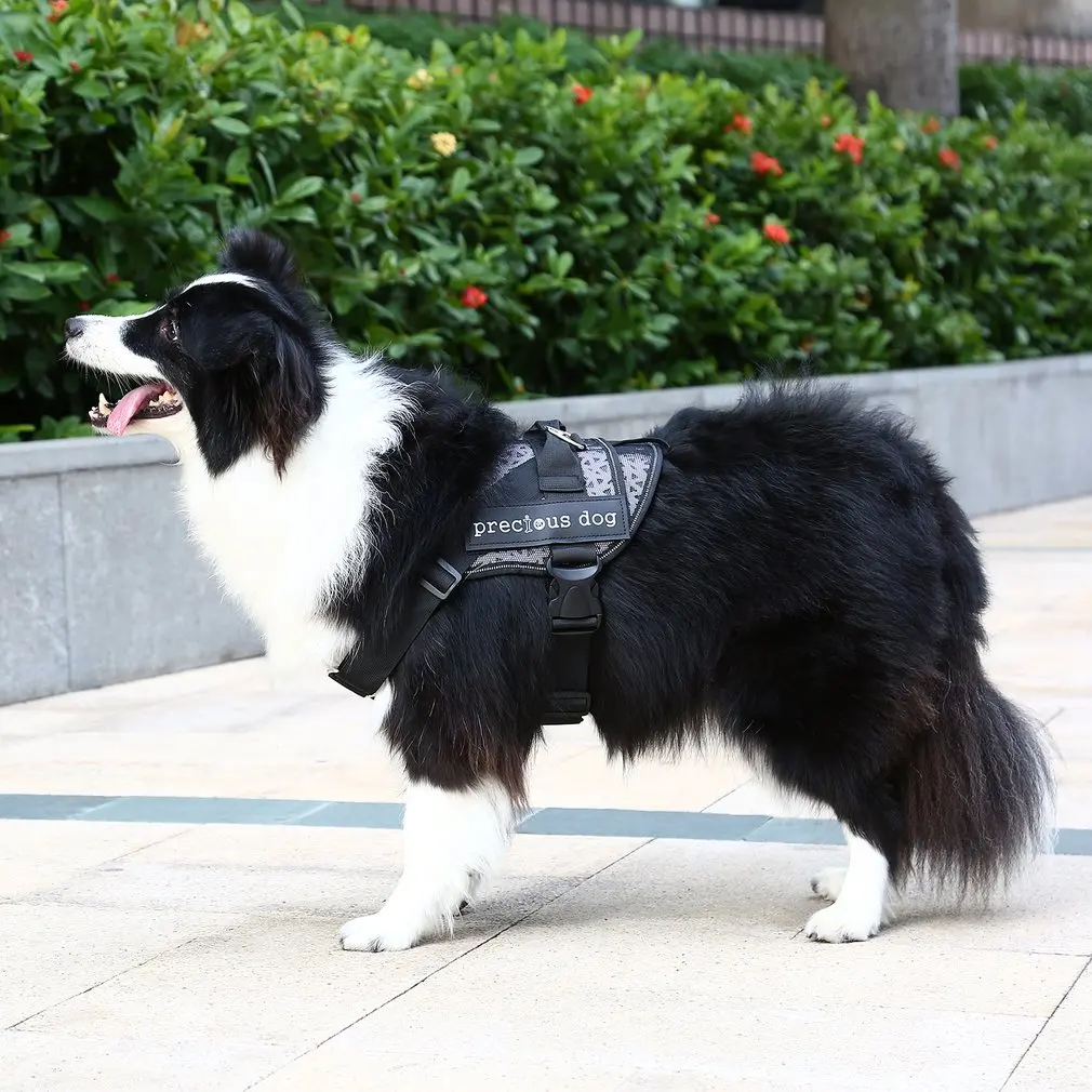 Adjustable Pet Dog Harness Collar Halter Harnesses Comfortable Breathable Mesh Walk Safety Pet Vest Dog Supplies